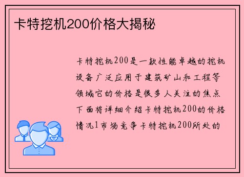 卡特挖机200价格大揭秘