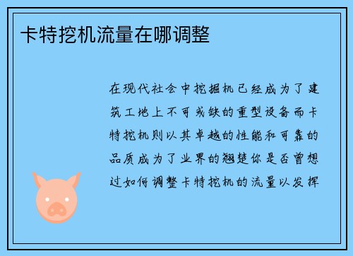 卡特挖机流量在哪调整